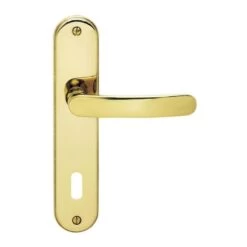 Poignée De Porte XENON à Plaque à Clé