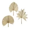 Lot De 3 Déco Murale En Palmier - Madam Stoltz 2 Lot De 3 Déco Murale En Palmier - Madam Stoltz -Décor Soldes lot de 3 deco murale en palmier madam stoltz
